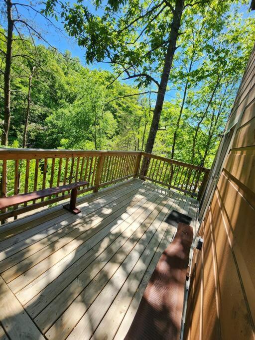 Dancing Bear Cabin- Relax & Enjoy! 세비어빌 외부 사진