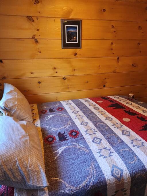 Dancing Bear Cabin- Relax & Enjoy! 세비어빌 외부 사진