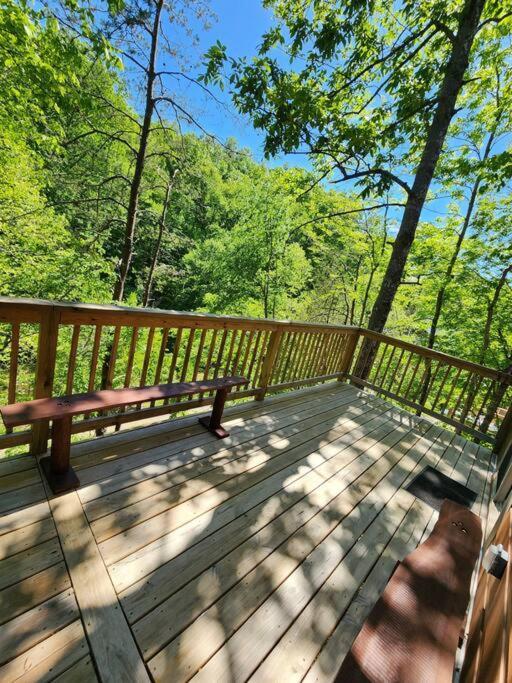 Dancing Bear Cabin- Relax & Enjoy! 세비어빌 외부 사진
