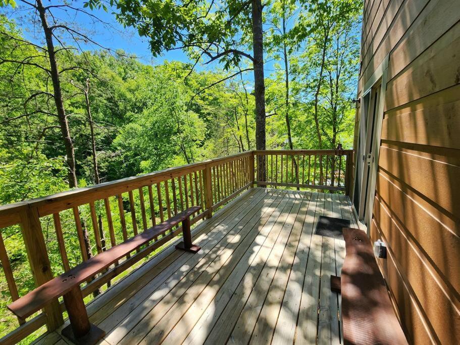 Dancing Bear Cabin- Relax & Enjoy! 세비어빌 외부 사진