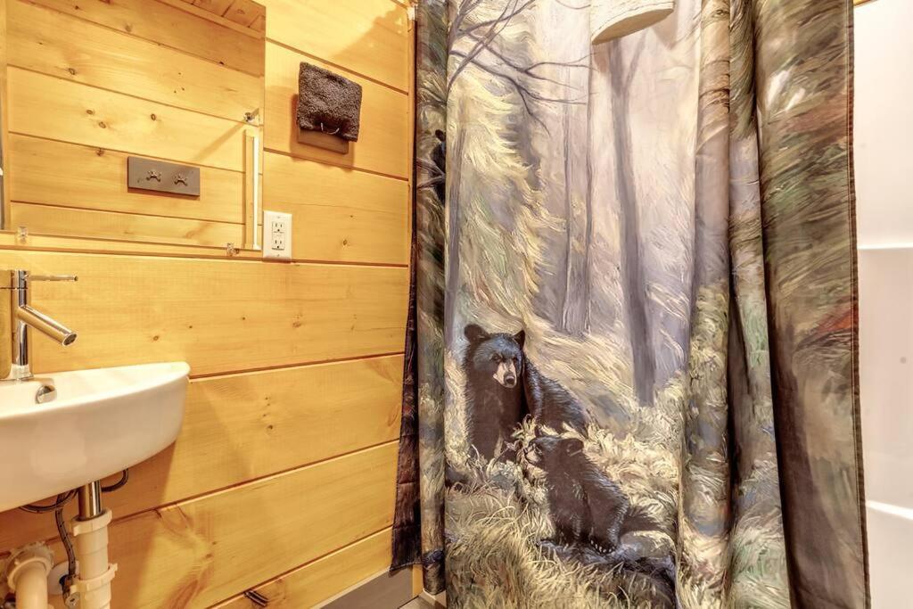Dancing Bear Cabin- Relax & Enjoy! 세비어빌 외부 사진