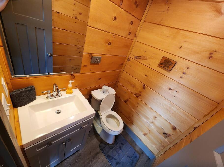 Dancing Bear Cabin- Relax & Enjoy! 세비어빌 외부 사진