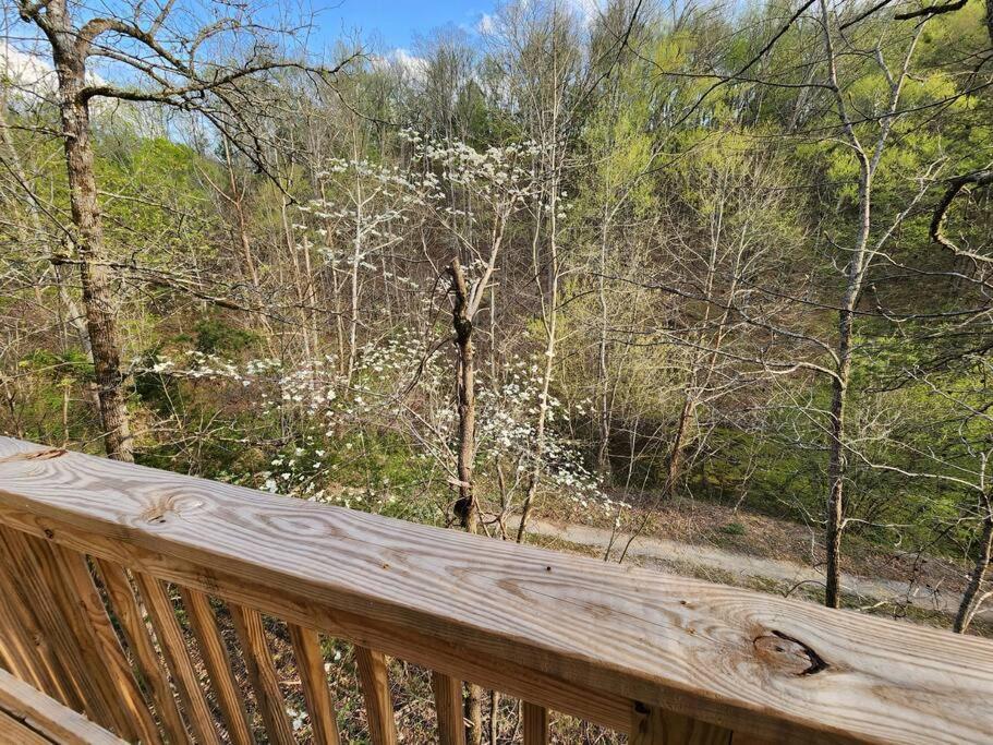 Dancing Bear Cabin- Relax & Enjoy! 세비어빌 외부 사진